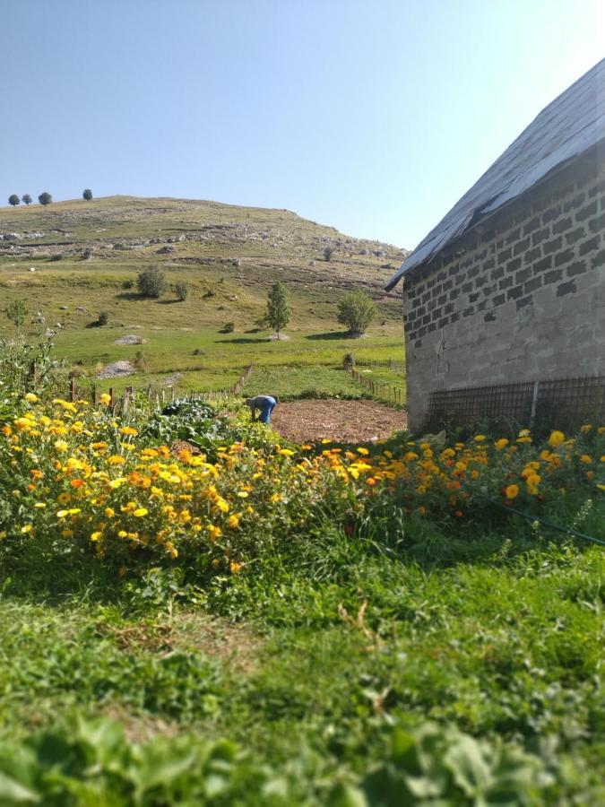 Apartment Prenociste B&m - *